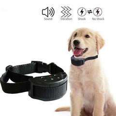 Best Anti Bark Dog Collar