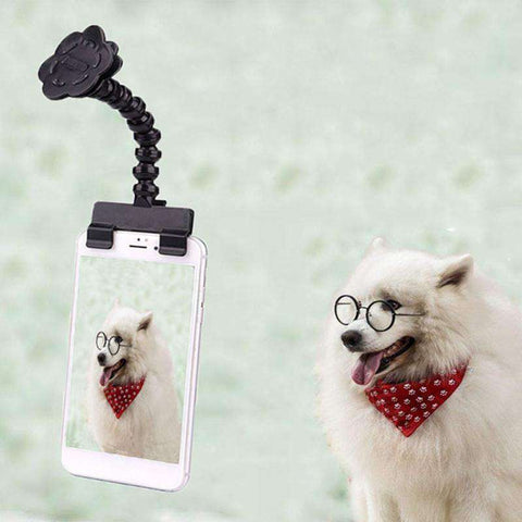 Best Pet Selfie Stick