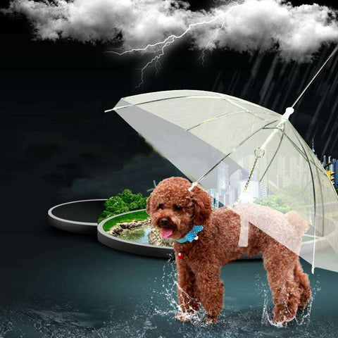 DoggieBrella -Best Dog Umbrella