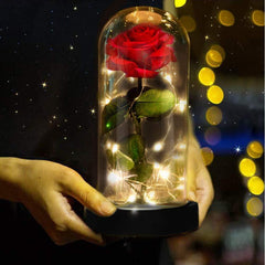 Eternity LED Valentine Red Rose (The Rose Flower That Last Forever)