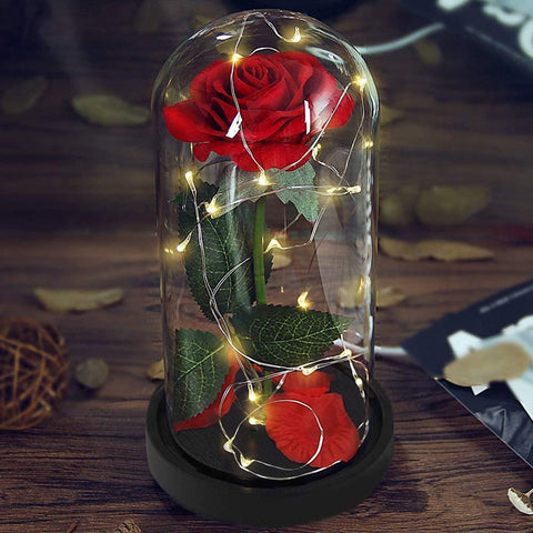 Eternity LED Valentine Red Rose (The Rose Flower That Last Forever)