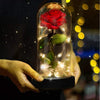 Image of Valentine's Day Eternity LED Red Rose Offer (Rose That Last Forever for Mom, Wife, Girlfriend, Daughter)