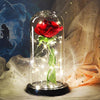Image of Valentine's Day Eternity LED Red Rose Offer (Rose That Last Forever for Mom, Wife, Girlfriend, Daughter)