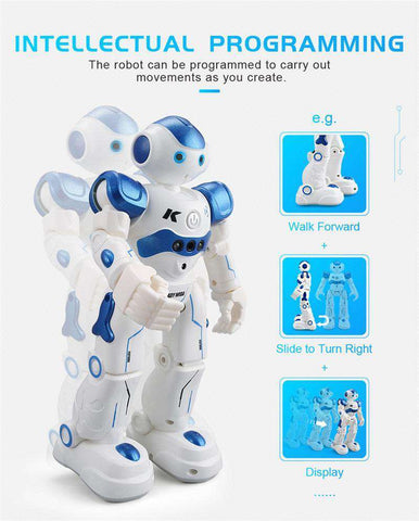 Singing Dancing Gesture Robot