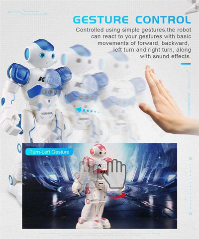 Singing Dancing Gesture Robot