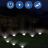 Image of Solara Lights XL8 - Brighter + 35% More Power